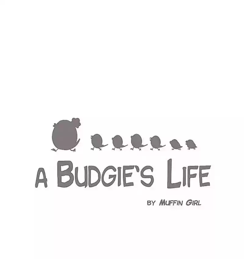 A Budgie's Life Chapter 153: Ep.152: