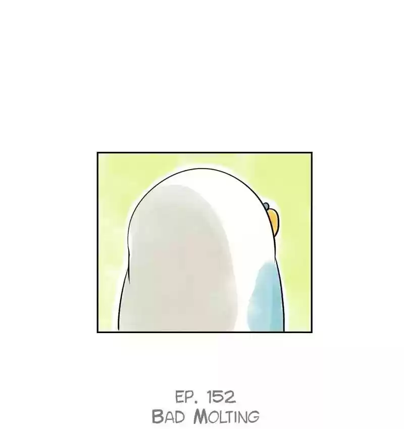 A Budgie's Life Chapter 153: Ep.152: