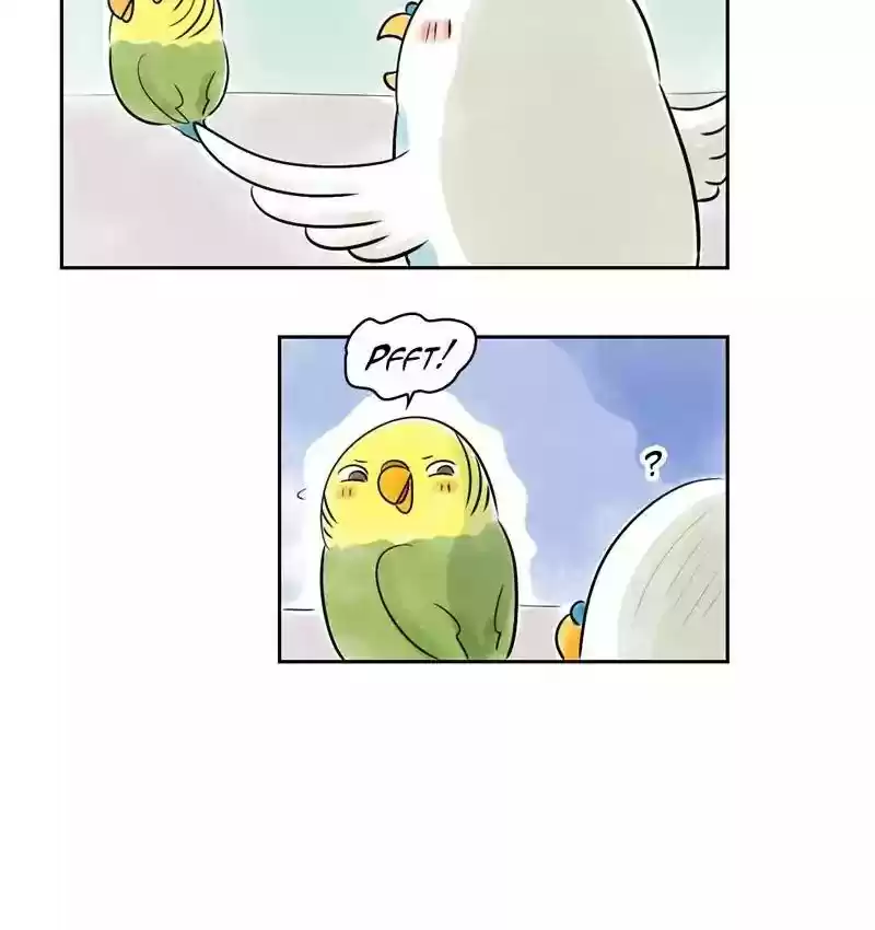 A Budgie's Life Chapter 153: Ep.152: