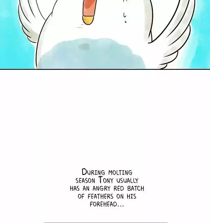 A Budgie's Life Chapter 153: Ep.152: