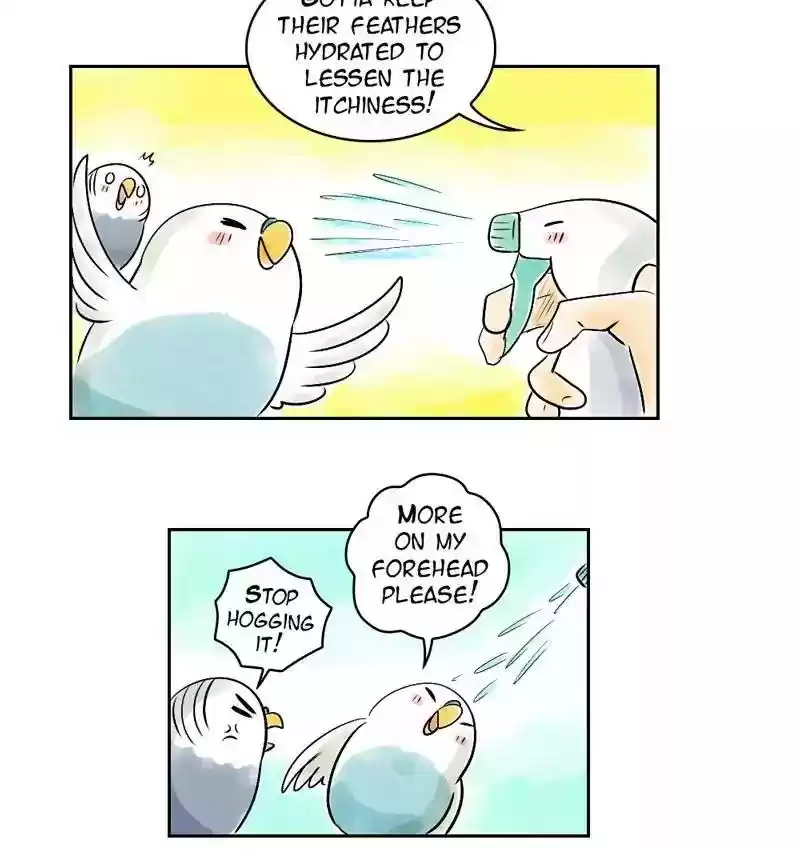 A Budgie's Life Chapter 153: Ep.152: