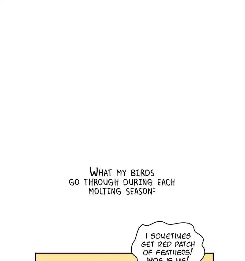 A Budgie's Life Chapter 153: Ep.152: