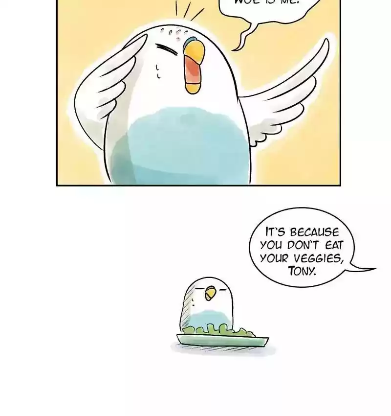 A Budgie's Life Chapter 153: Ep.152: