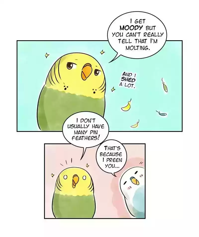 A Budgie's Life Chapter 153: Ep.152:
