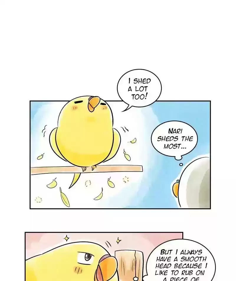 A Budgie's Life Chapter 153: Ep.152: