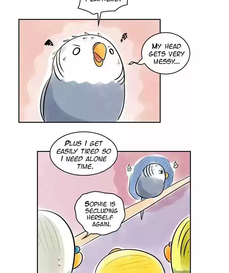 A Budgie's Life Chapter 153: Ep.152: