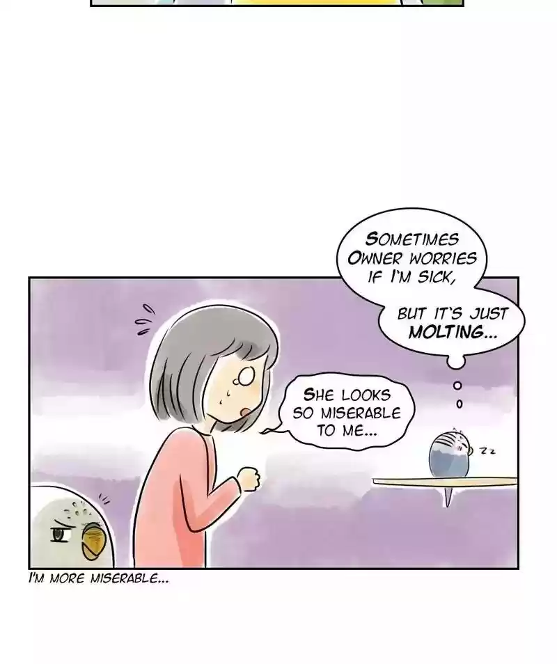 A Budgie's Life Chapter 153: Ep.152: