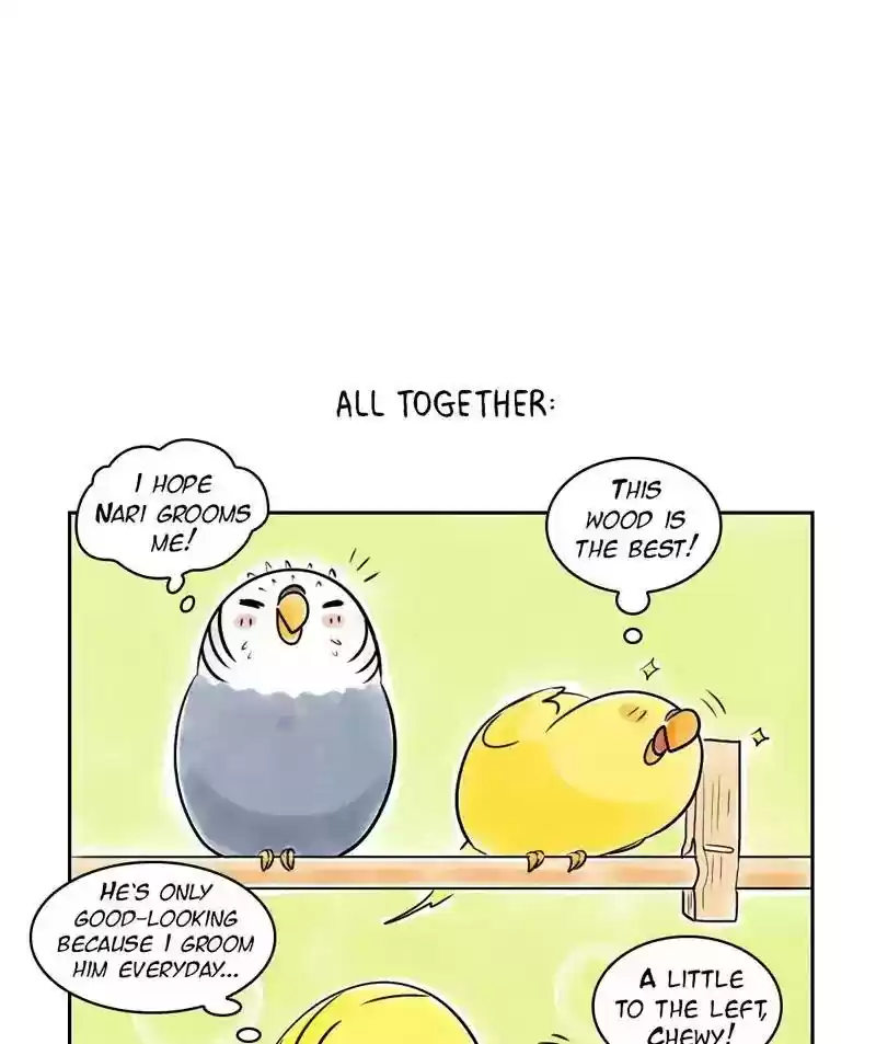 A Budgie's Life Chapter 153: Ep.152: