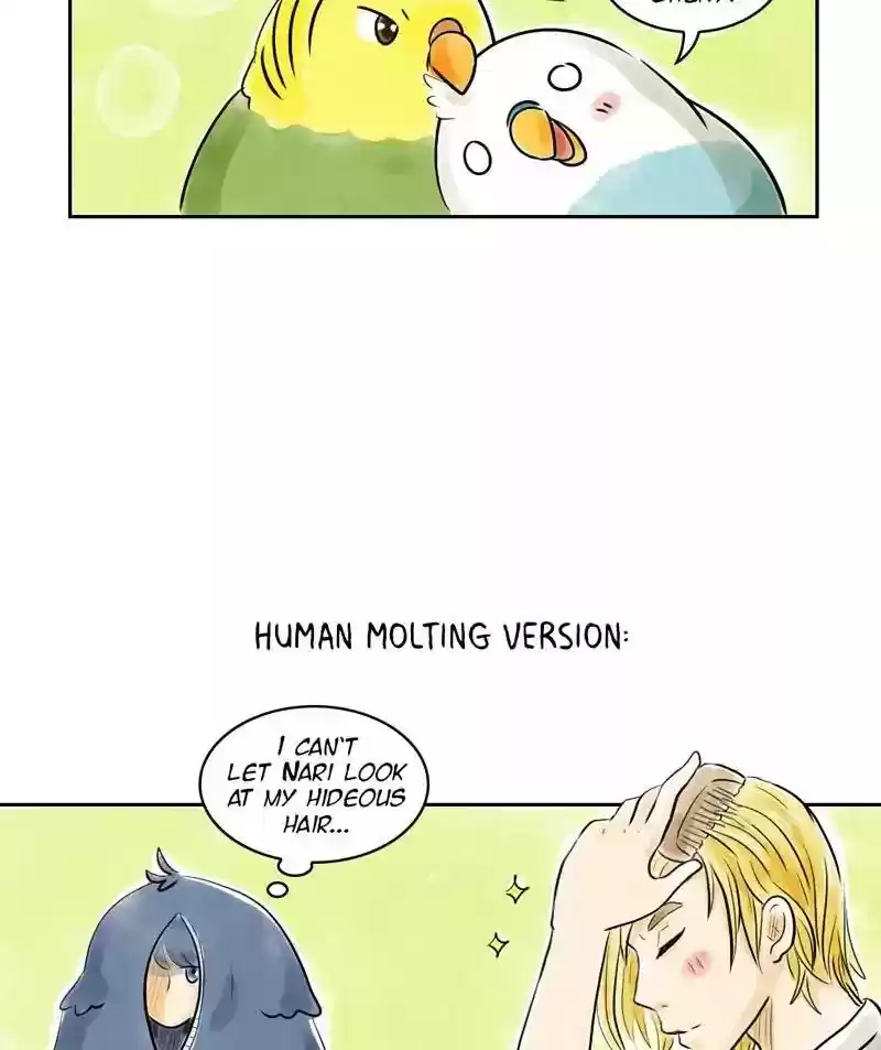A Budgie's Life Chapter 153: Ep.152: