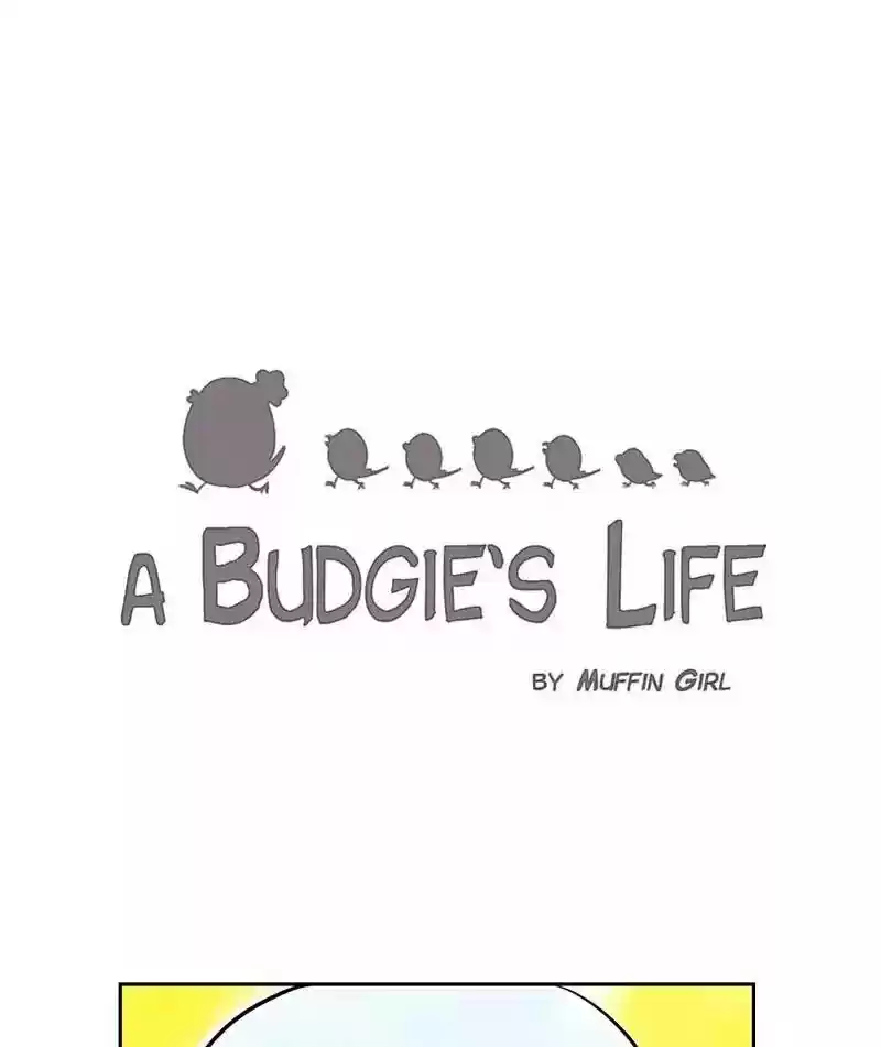 A Budgie's Life Chapter 154: Ep.153: