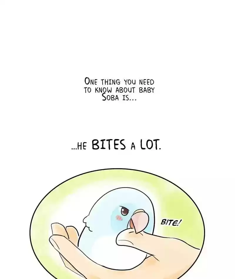 A Budgie's Life Chapter 154: Ep.153: