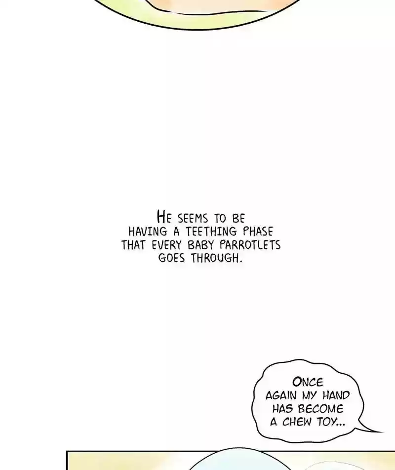 A Budgie's Life Chapter 154: Ep.153:
