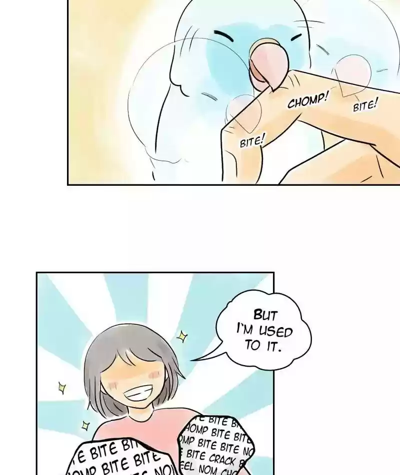 A Budgie's Life Chapter 154: Ep.153: