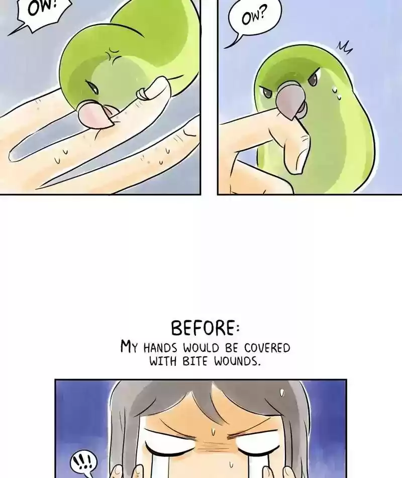 A Budgie's Life Chapter 154: Ep.153: