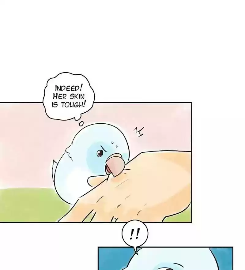 A Budgie's Life Chapter 154: Ep.153: