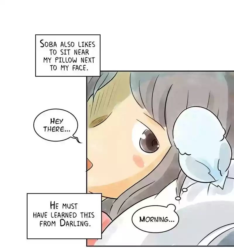 A Budgie's Life Chapter 154: Ep.153: