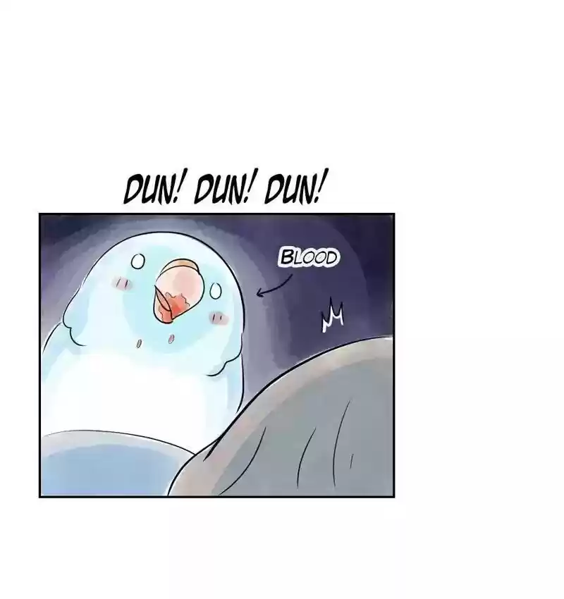 A Budgie's Life Chapter 154: Ep.153: