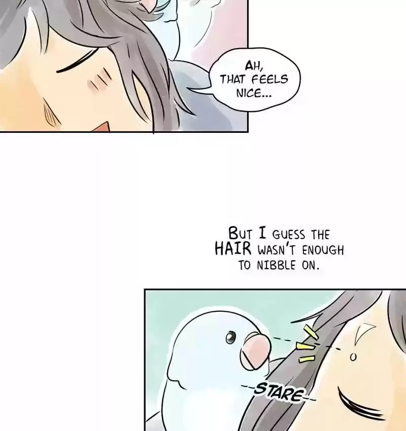 A Budgie's Life Chapter 154: Ep.153: