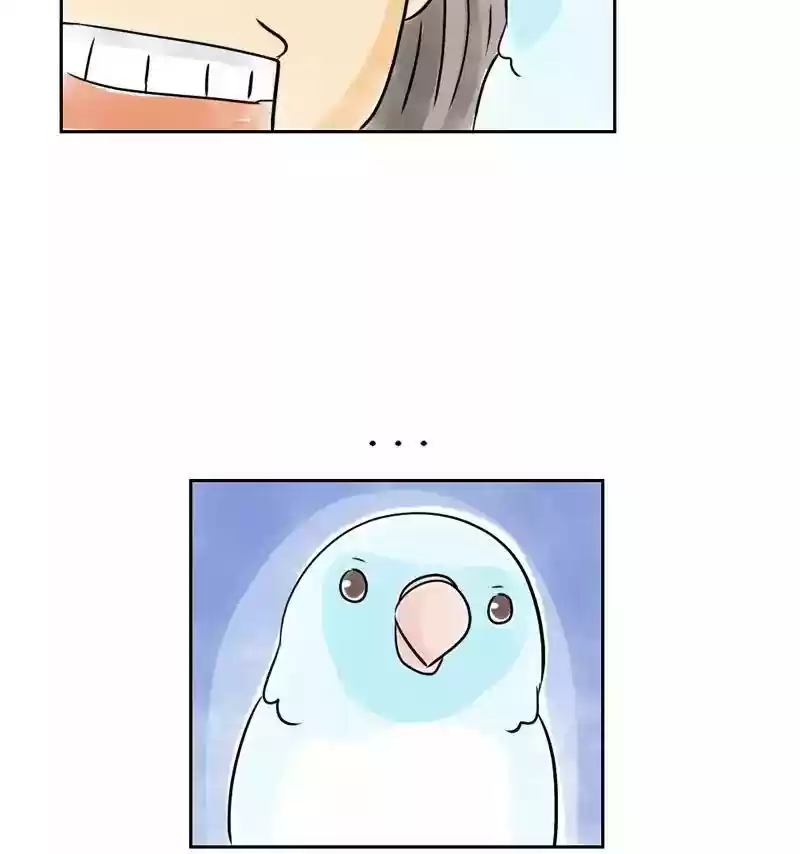 A Budgie's Life Chapter 154: Ep.153: