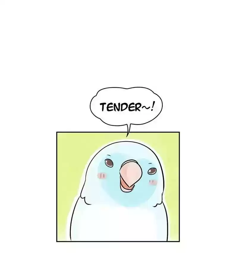A Budgie's Life Chapter 154: Ep.153: