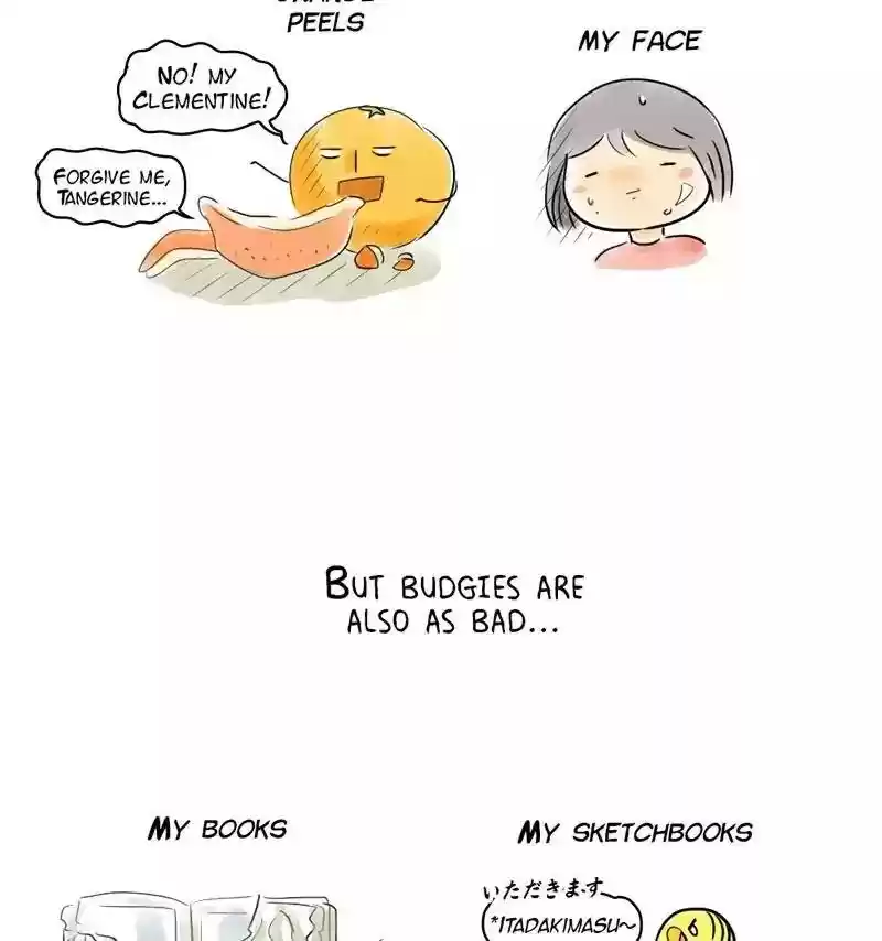 A Budgie's Life Chapter 154: Ep.153: