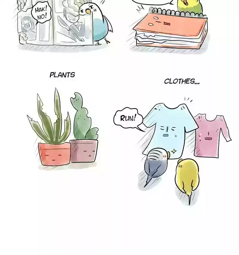 A Budgie's Life Chapter 154: Ep.153: