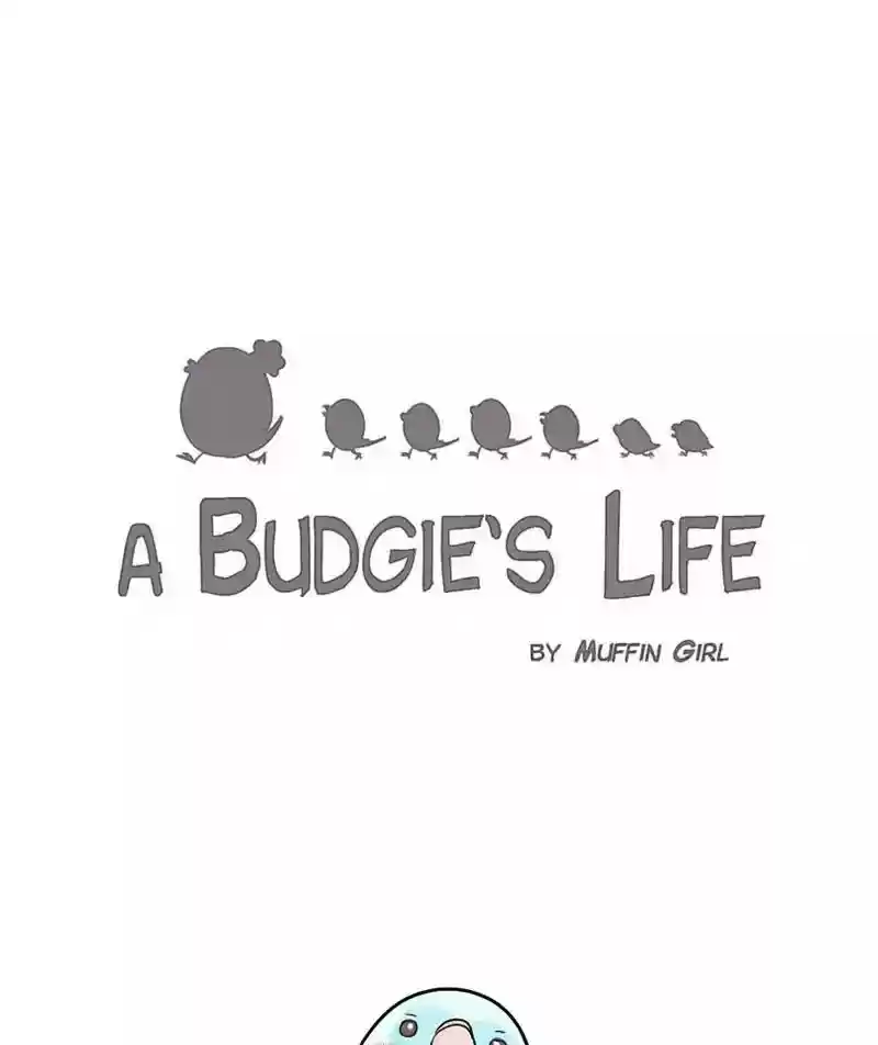 A Budgie's Life Chapter 155: Ep.154:
