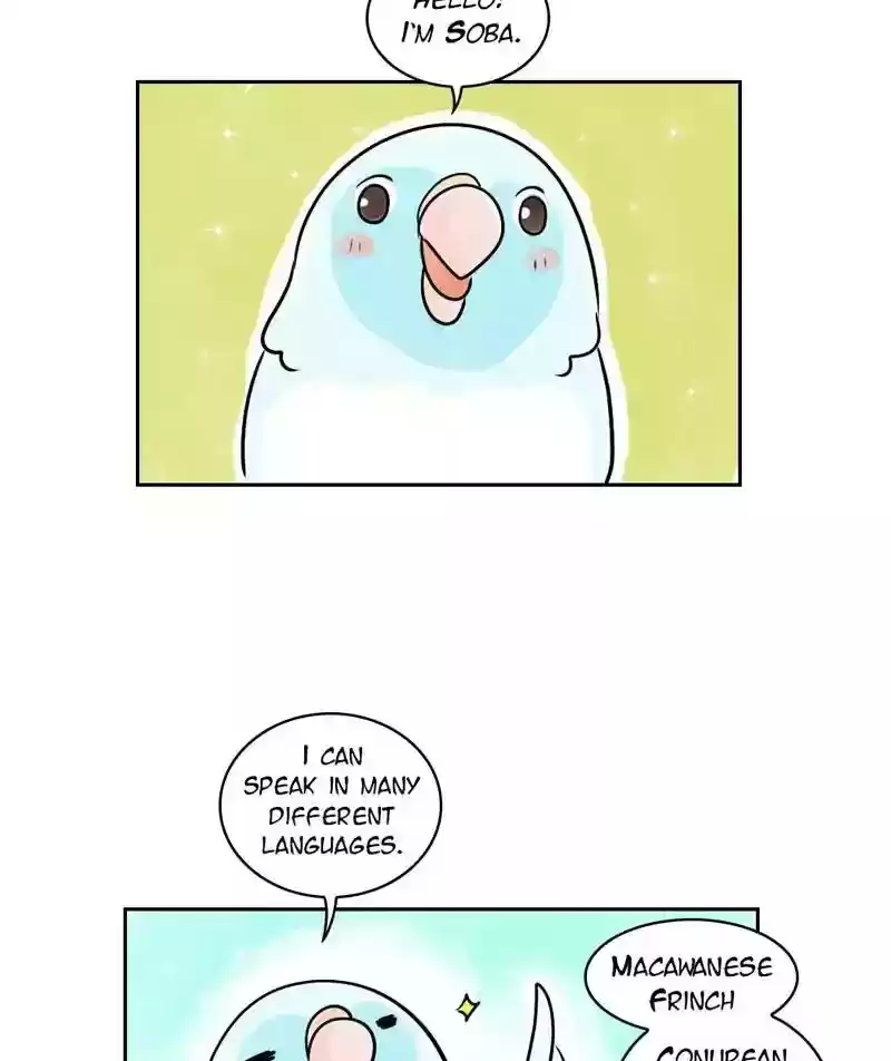A Budgie's Life Chapter 155: Ep.154: