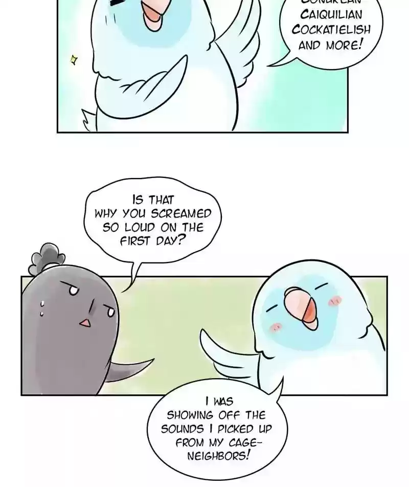 A Budgie's Life Chapter 155: Ep.154: