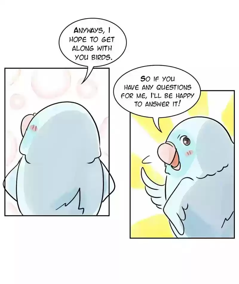 A Budgie's Life Chapter 155: Ep.154: