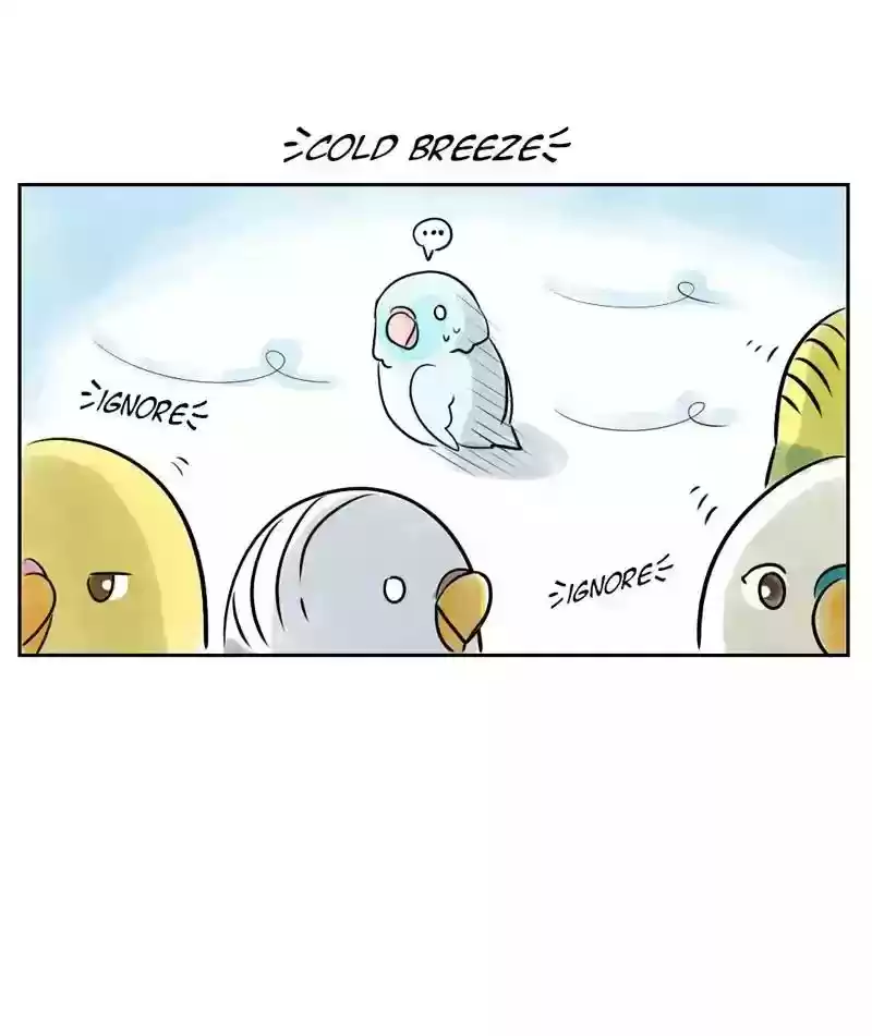 A Budgie's Life Chapter 155: Ep.154: