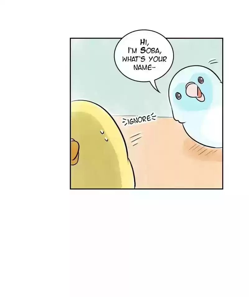 A Budgie's Life Chapter 155: Ep.154: