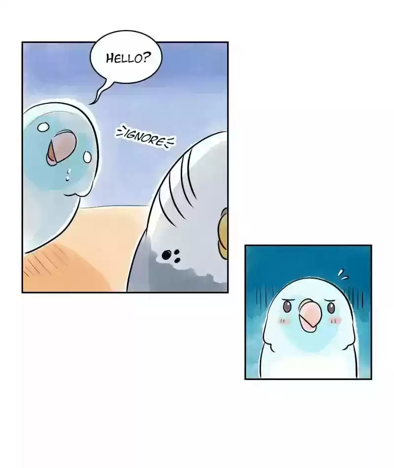 A Budgie's Life Chapter 155: Ep.154: