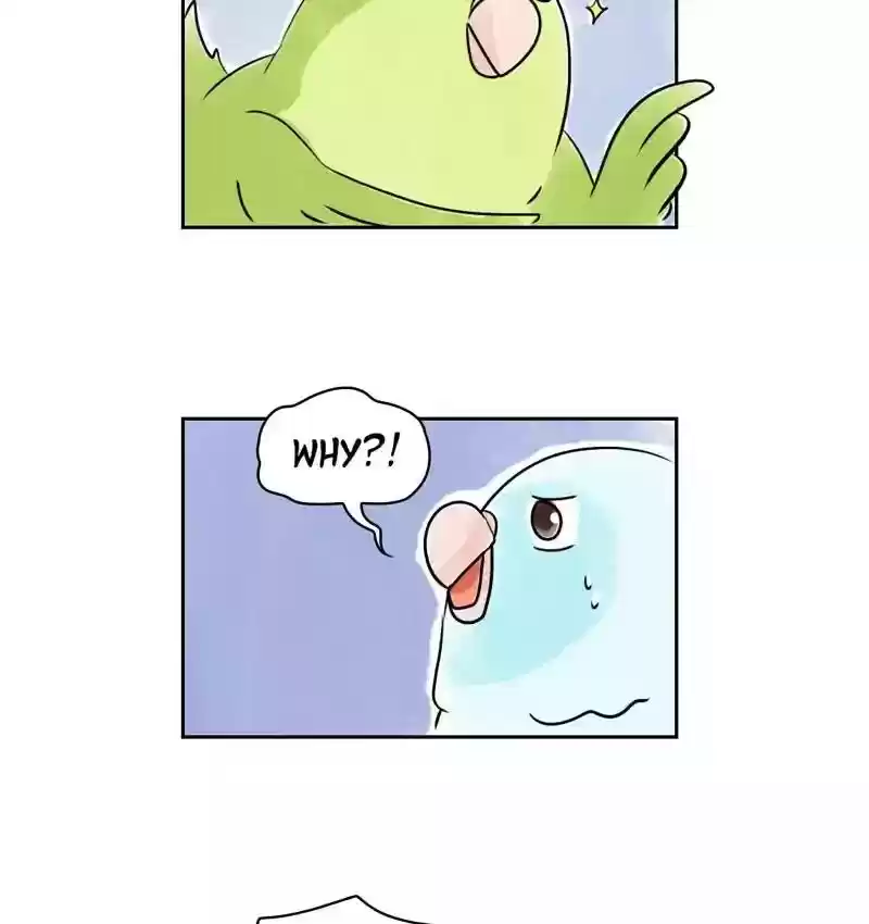 A Budgie's Life Chapter 155: Ep.154: