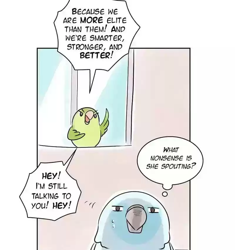 A Budgie's Life Chapter 155: Ep.154: