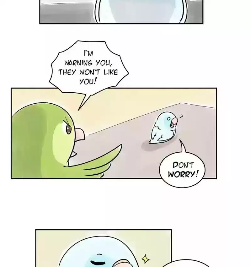 A Budgie's Life Chapter 155: Ep.154: