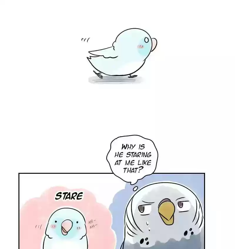 A Budgie's Life Chapter 155: Ep.154: