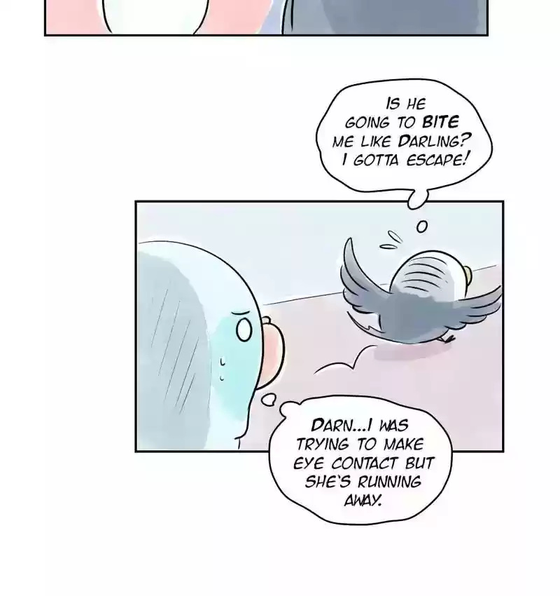 A Budgie's Life Chapter 155: Ep.154: