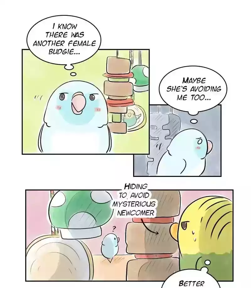 A Budgie's Life Chapter 155: Ep.154: