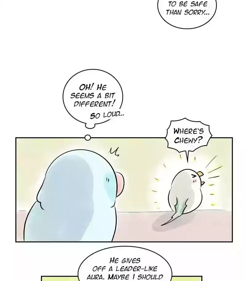 A Budgie's Life Chapter 155: Ep.154: