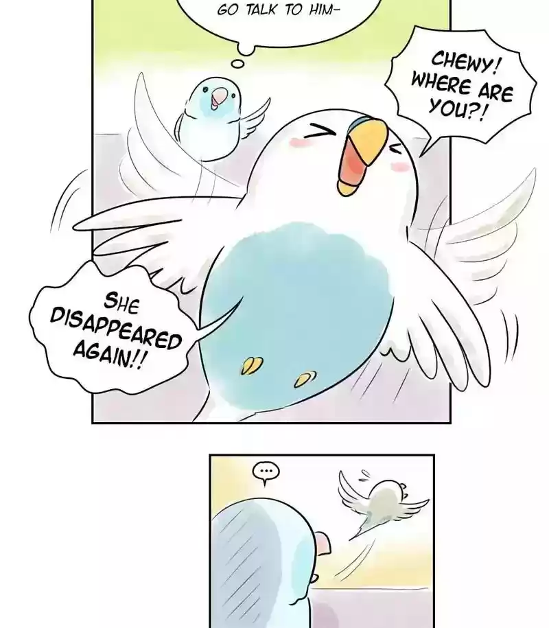 A Budgie's Life Chapter 155: Ep.154: