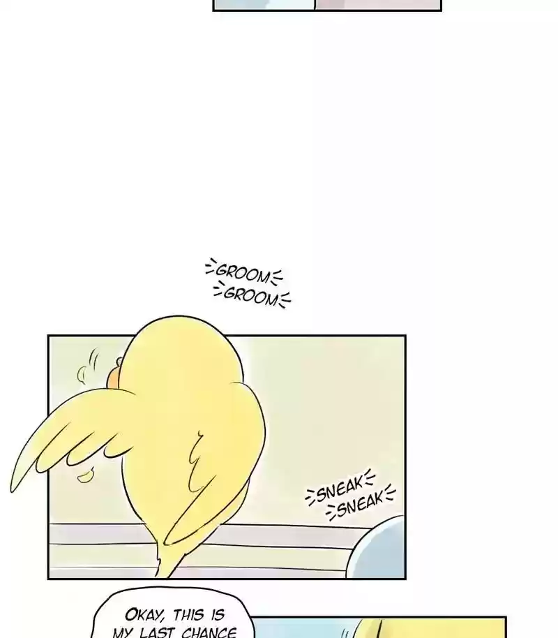 A Budgie's Life Chapter 155: Ep.154: