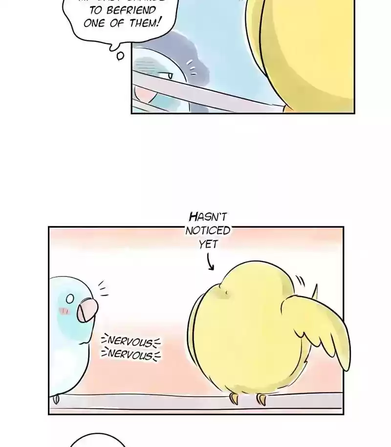 A Budgie's Life Chapter 155: Ep.154:
