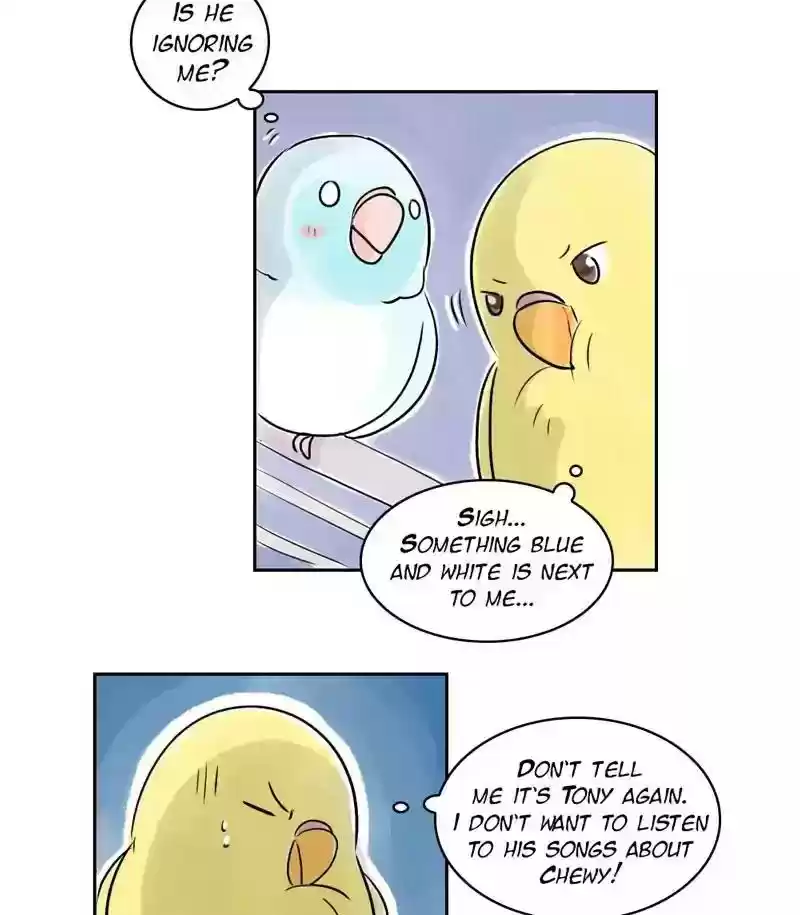 A Budgie's Life Chapter 155: Ep.154: