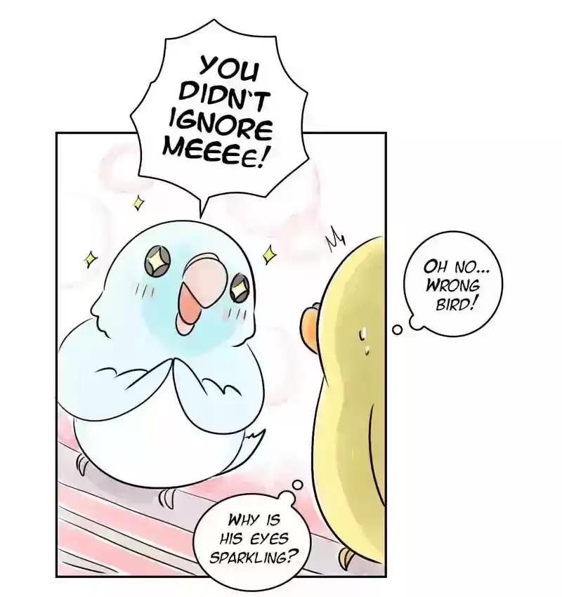 A Budgie's Life Chapter 155: Ep.154: