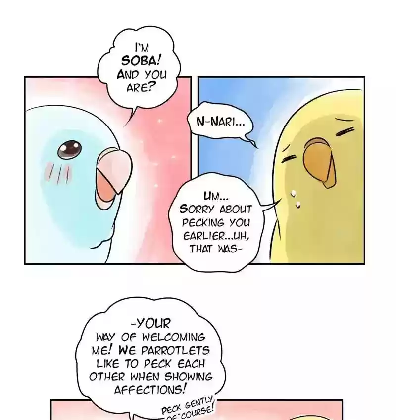 A Budgie's Life Chapter 155: Ep.154: