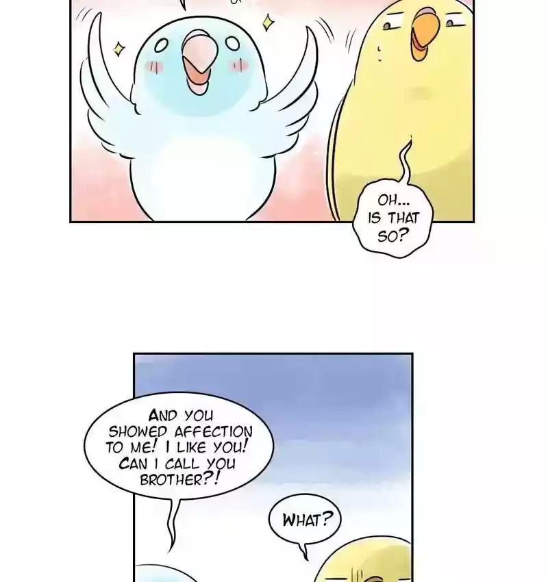 A Budgie's Life Chapter 155: Ep.154: