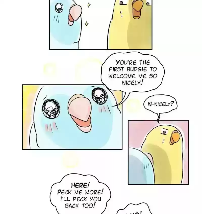 A Budgie's Life Chapter 155: Ep.154: