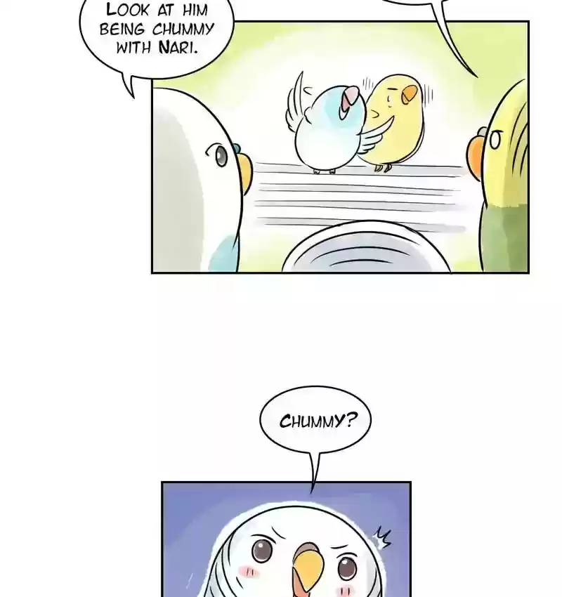 A Budgie's Life Chapter 155: Ep.154: