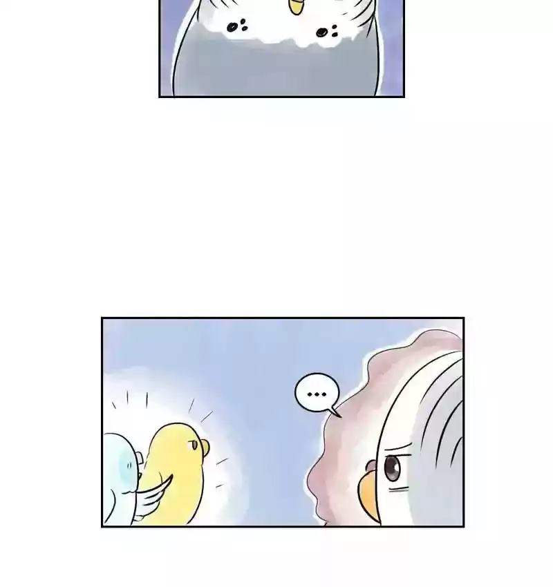 A Budgie's Life Chapter 155: Ep.154: